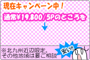 HP制作キャンペーン中