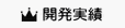 開発実績